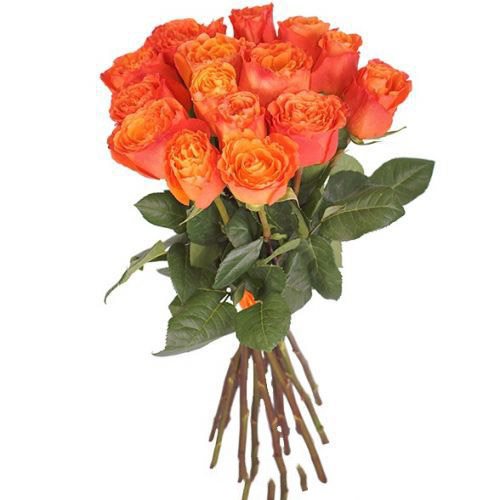 Купить букет из 15-ти оранжевых роз с доставкой по Набережным Челнам